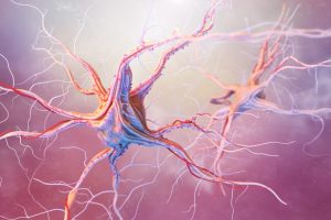 Graphic of neurons and nervous system