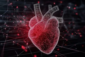  An interpretive illustration of a wireframe-style 3D model of a human heart. Created with generative AI. Credit: Maksym/Adobe Stock