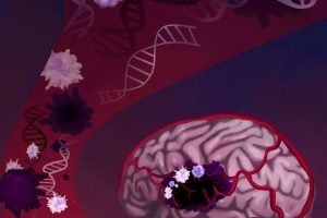 Release of cell-free DNA and altered blood cells in patients with cancer. Credit: Carolyn Hruban