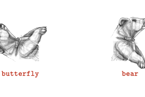 A black and white visual anagram of a butterfly and a bear in gif form