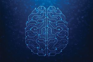 Brain circuits_getty images